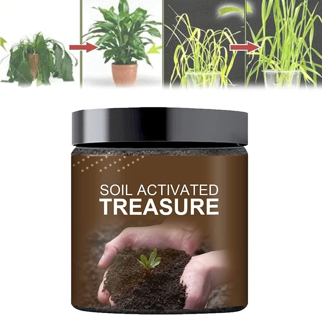 Premium Soil Activator – 100g (Buy 1 Get 1 Free) | Fast Plant Growth Formula