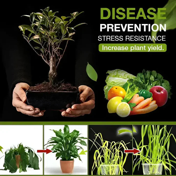 Premium Soil Activator – 100g (Buy 1 Get 1 Free) | Fast Plant Growth Formula